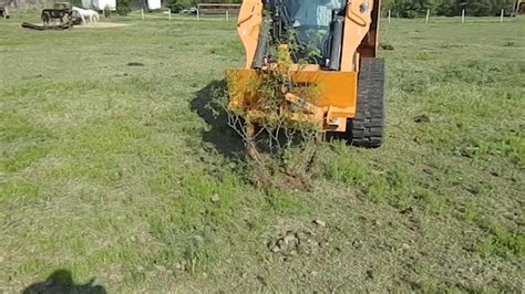 mesquite tree removal skid steer|mesquite grubbing spray.